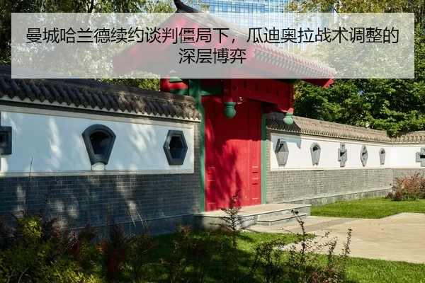 man-cheng-ha-lan-de-xu-yue-tan-pan-jiang-ju-xia-gua-di-ao-la-zhan-shu-tiao-zheng-de-shen-ceng-bo-yi-3-698.jpg