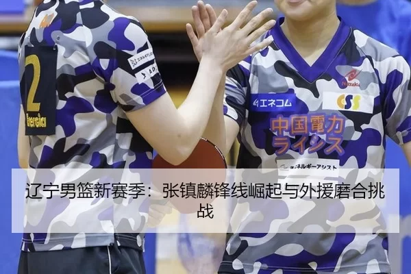 辽宁男篮新赛季：张镇麟锋线崛起与外援磨合挑战