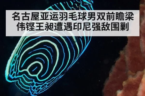 名古屋亚运羽毛球男双前瞻梁伟铿王昶遭遇印尼强敌围剿