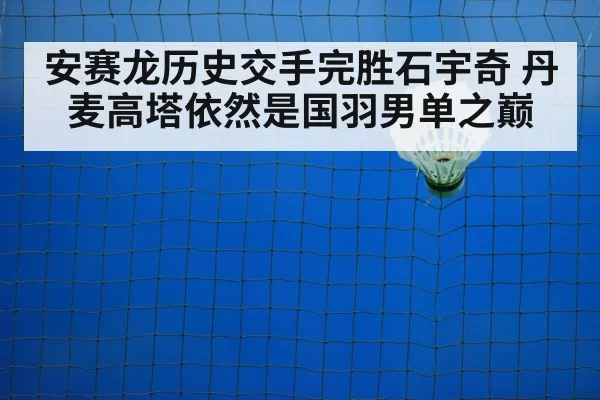 badminton net play