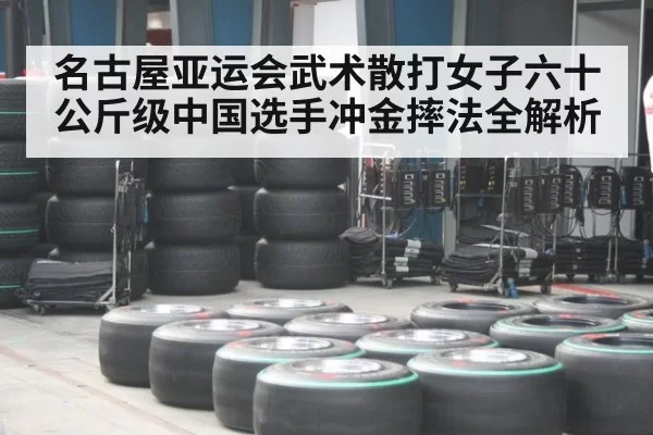 名古屋亚运会武术散打女子六十公斤级中国选手冲金摔法全解析